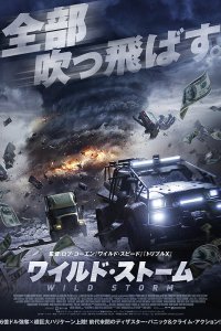 Ограбление в ураган (2018)
