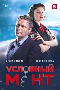Условный мент (1 сезон)