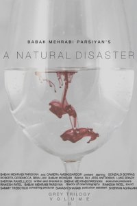 Стихийное бедствие (2019)