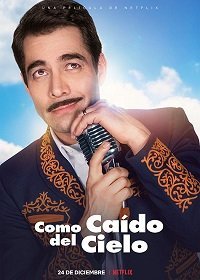 Как с неба свалился (2019)